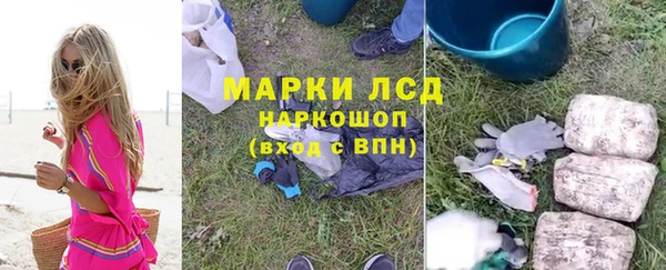 прущие грибы Армянск