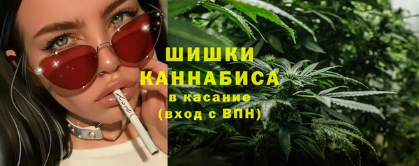 прущие грибы Армянск