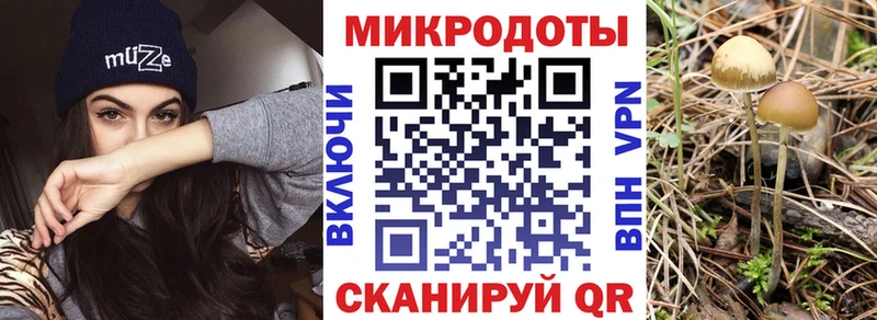 где можно купить   Магнитогорск  Галлюциногенные грибы MAGIC MUSHROOMS 